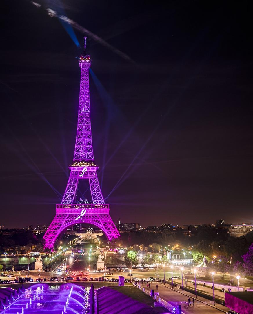 Paris dresses in pink for the 