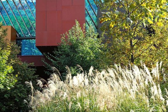 The  - Jardin d'été -  summer program at the Quai Branly Museum