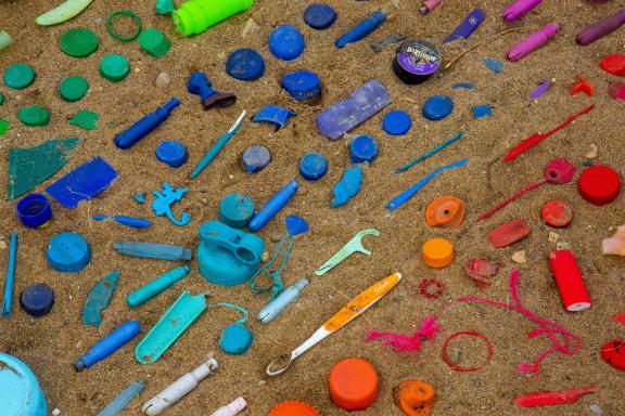- Waste Age - an immersive exhibition not to be missed